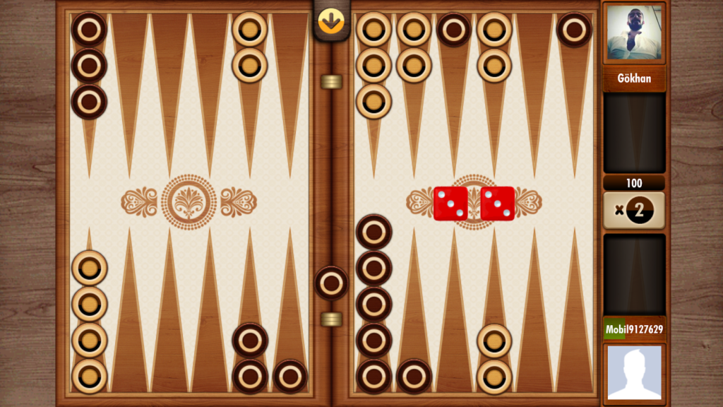 Play Backgammon Online