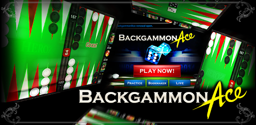 VIP Backgammon Platform Review - Backgammon Rules